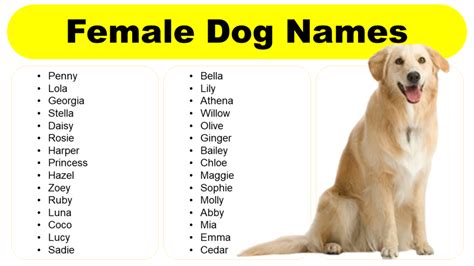 unique strong female dog names|intimidating female dog names.